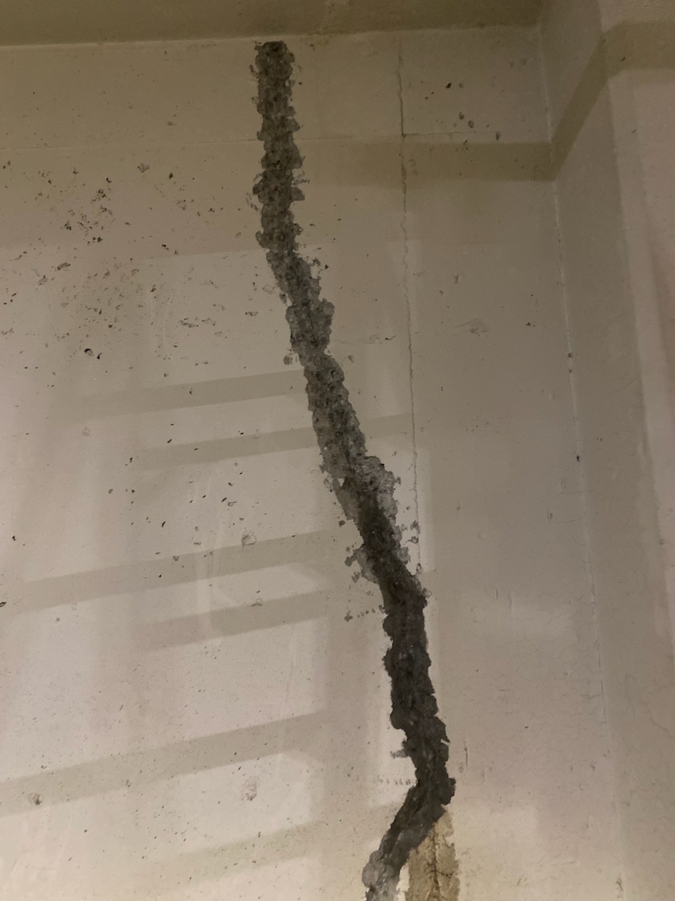 Project image 1