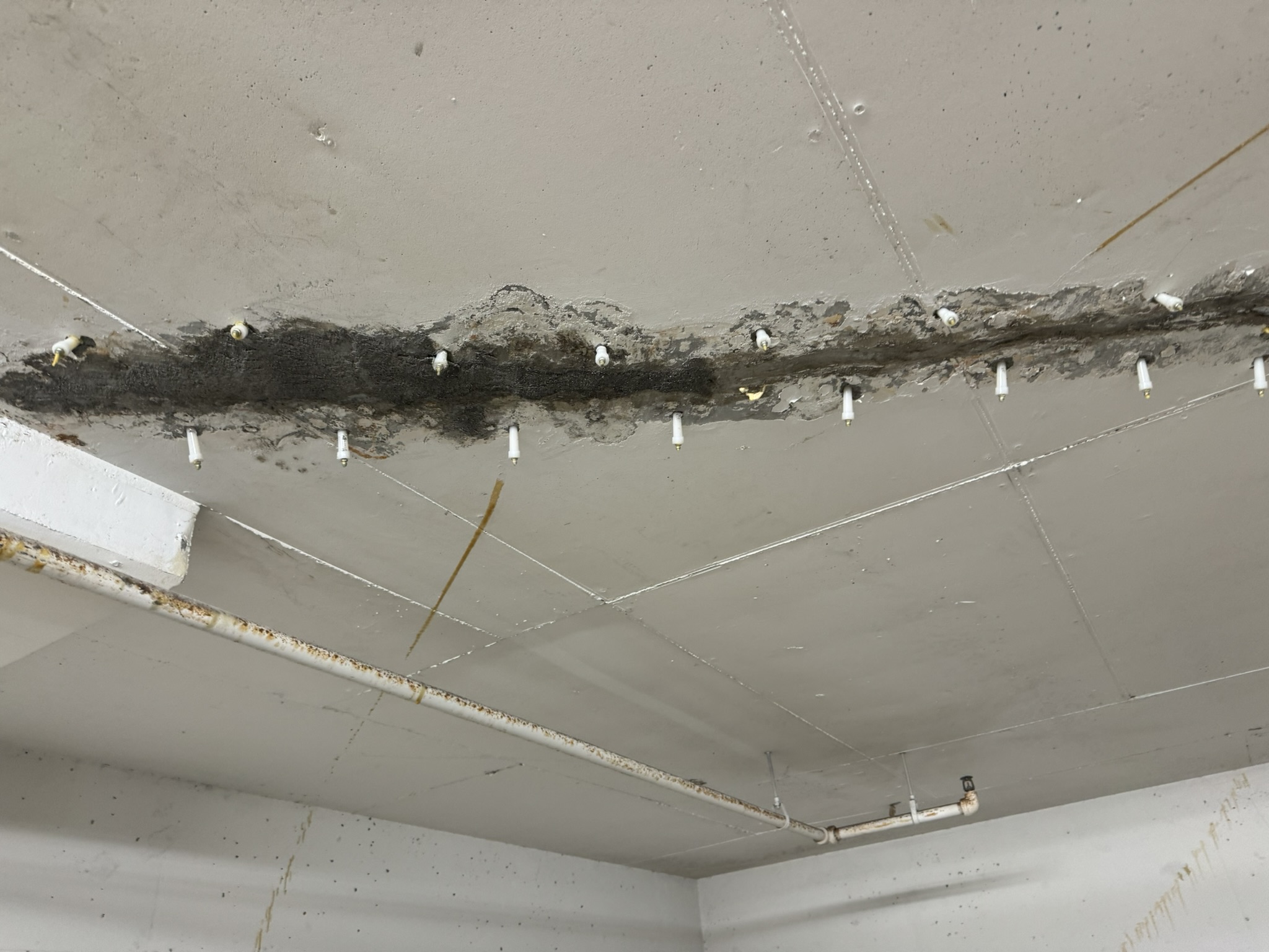 Project image 3