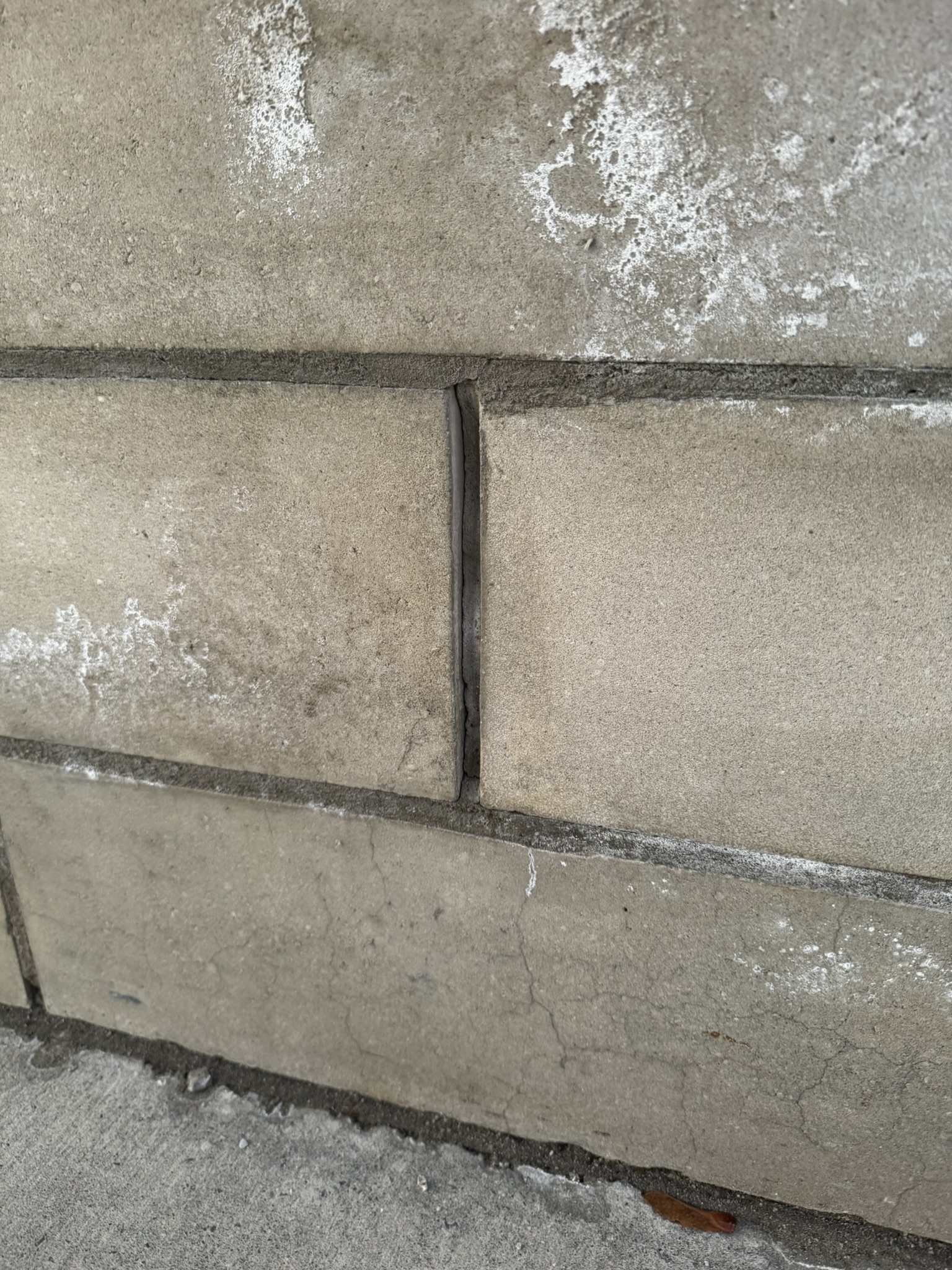 Project image 19